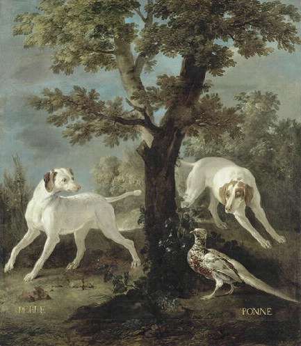 Perle et Ponne, chiennes de la meute de Louis XV - Vers 1732 © Joconde - RMN - Fontainebleau - Musée du château - Gérard Bonnet